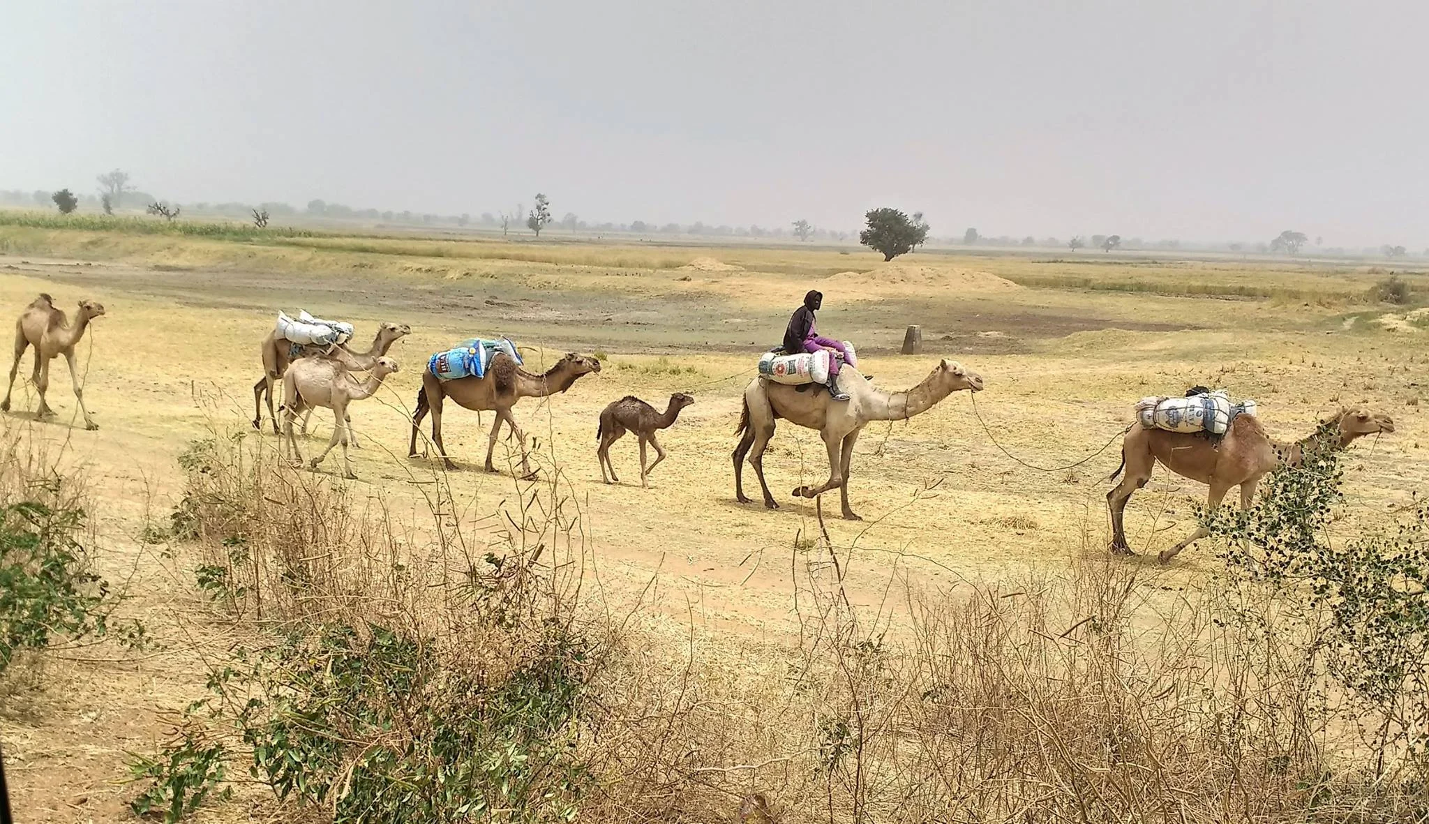 Dutse, capital of Jigawa State