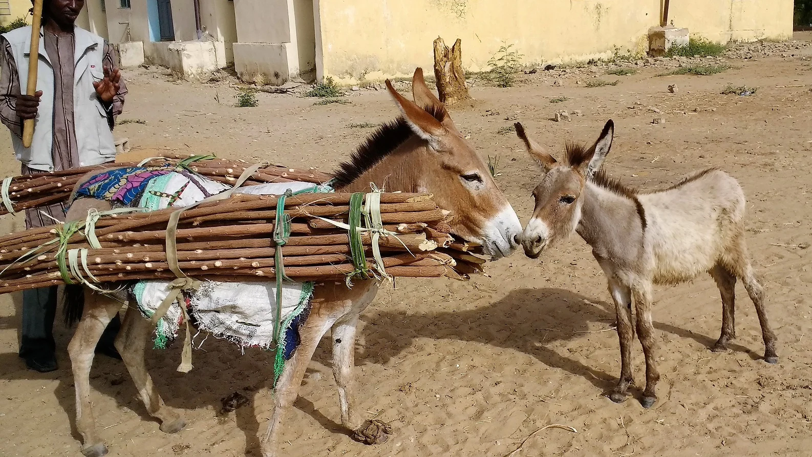 I had a terrible night!