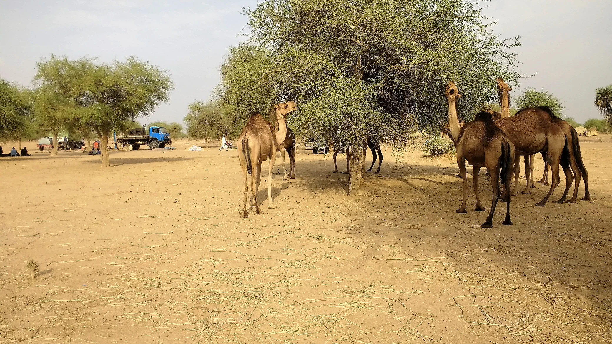 Our last two days in Garbagal have been very interesting and sweet.