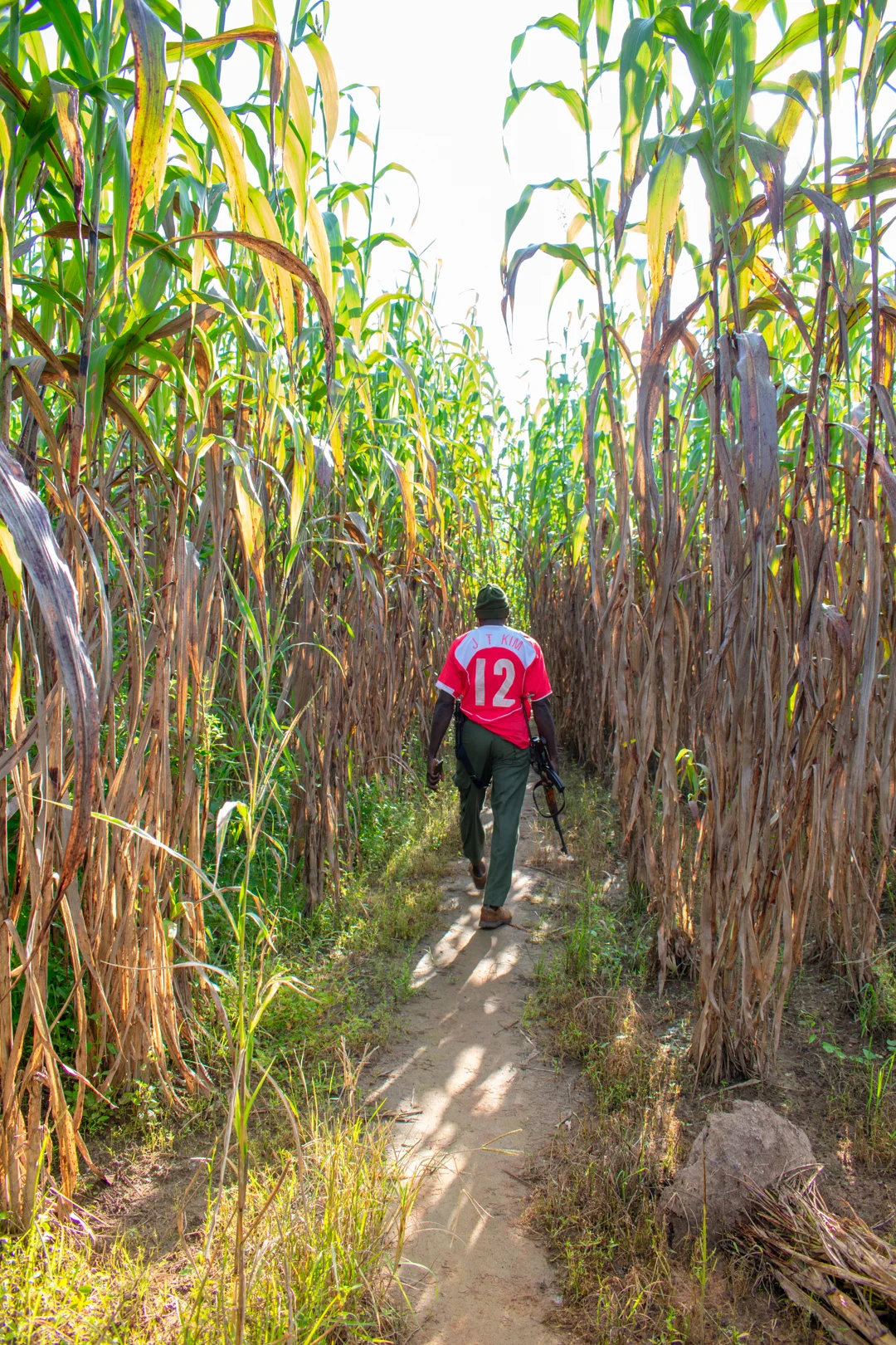 First Week Back In Bobi!