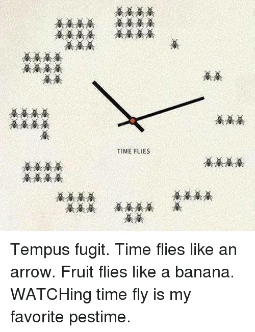 Tempus Fugit! Time Flies!