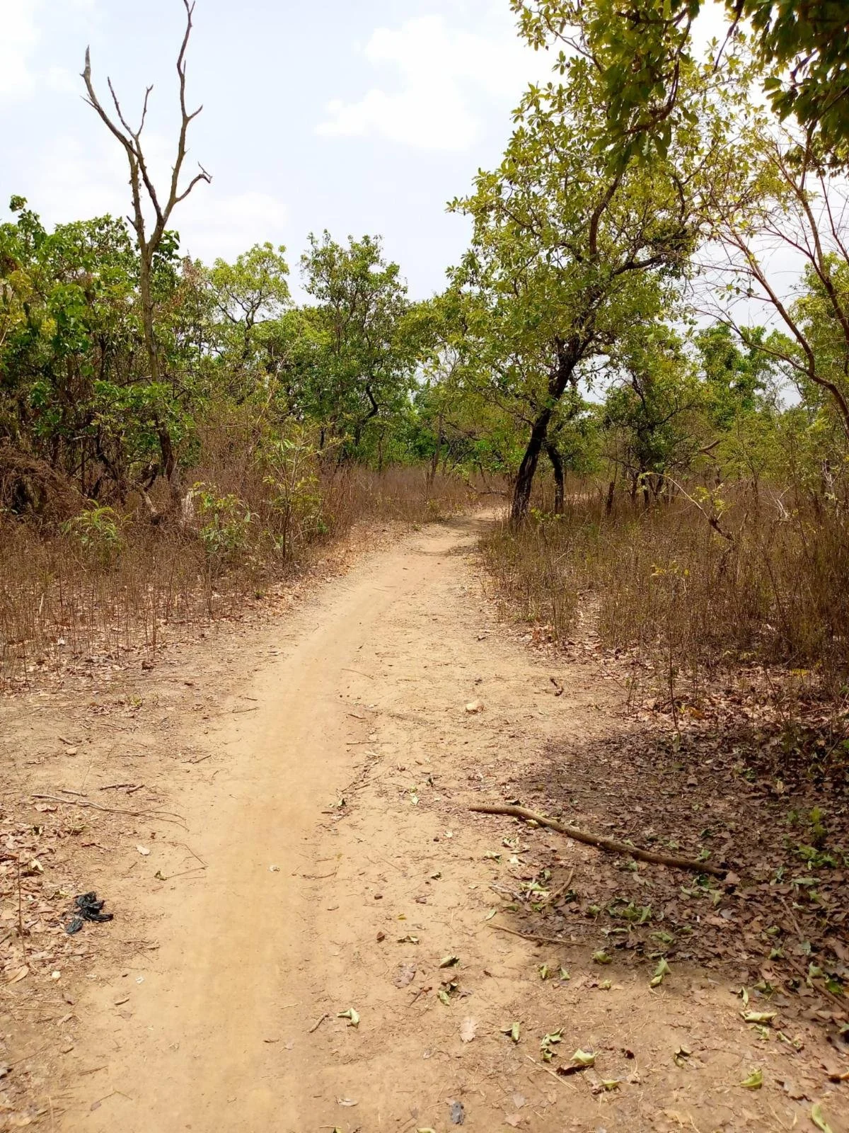 God REALLY wants a school in 'New Okigwe'!