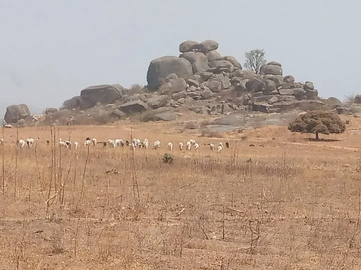 April 1st, Build A Meaningful Legacy!