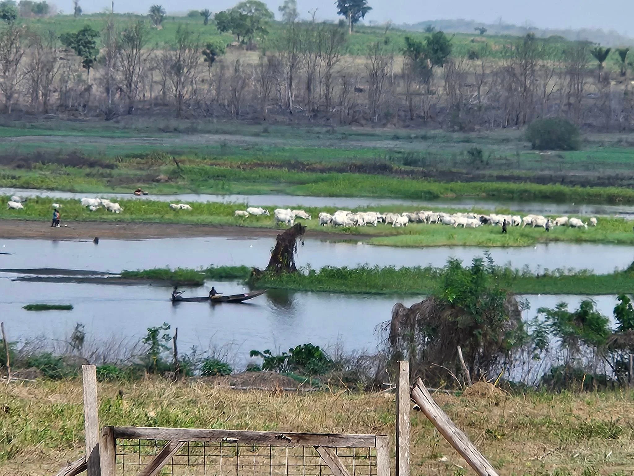 What's HAPPENING in Peace Village, Imala?