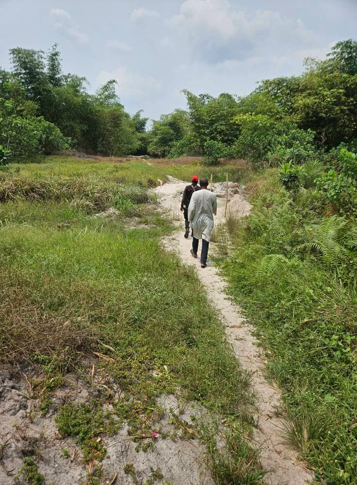  This is the beautiful new land we just bought! 