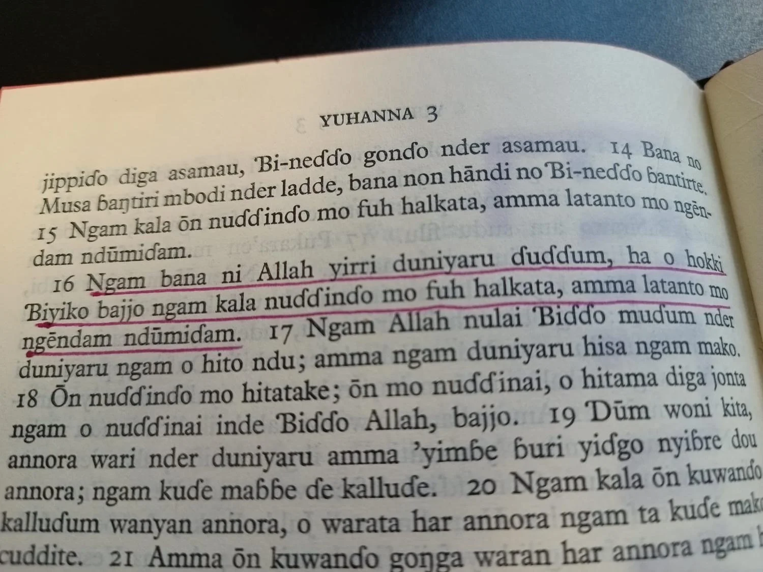 Bible Translation For The Fulani!