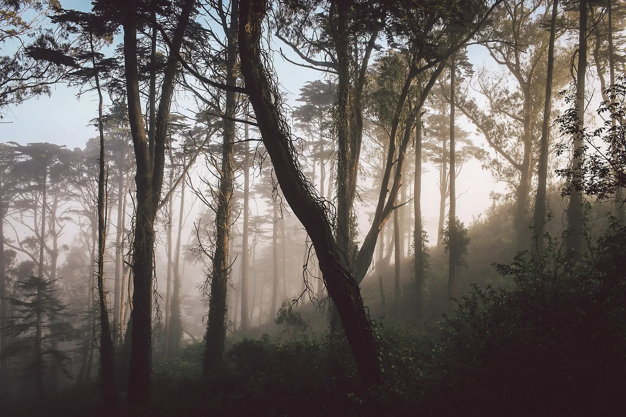 Success Story – New Hope in Old Appalachia