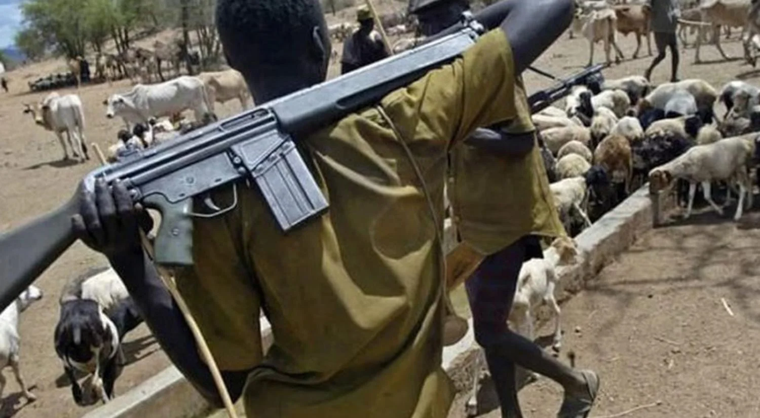 SOLUTIONS To Insecurity And Poverty In Nigeria